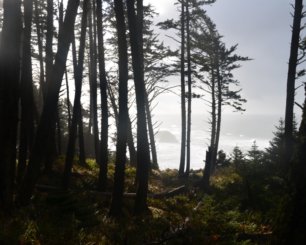 ecola state park