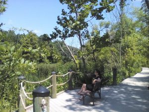 Theodore Roosevelt Island: parel in de Potomac