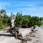 sanibel island