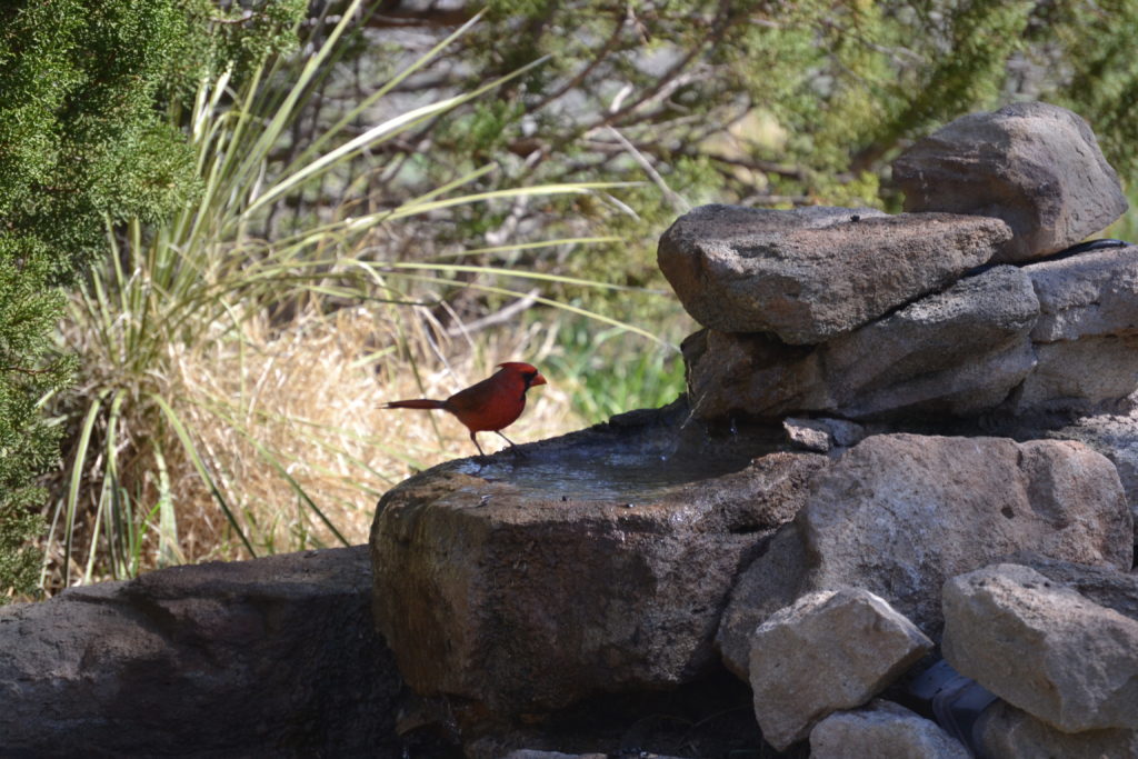 Palo Duro Canyon in Texas.