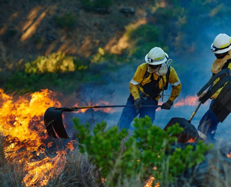 Grote bosbranden in New Jersey door wind en droogte